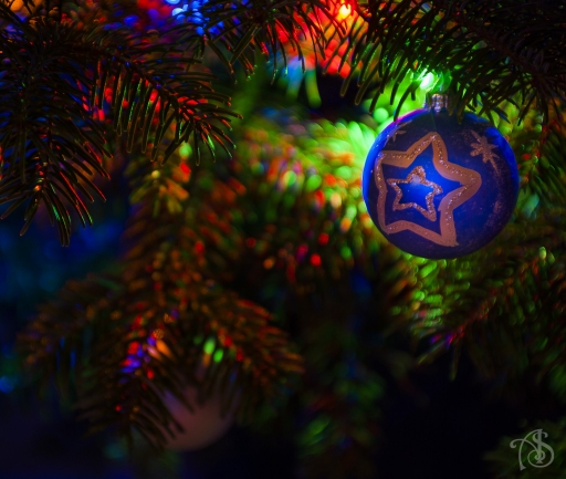 2015-12-12/Sijam
Sjiam  [Natures mortes,photos d'objets]
