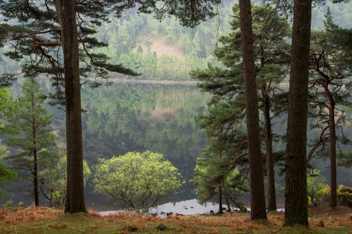 2016-05-14/Hermès
Hermes-(7-8 mai 2016) Pentaxone chez les verts.
