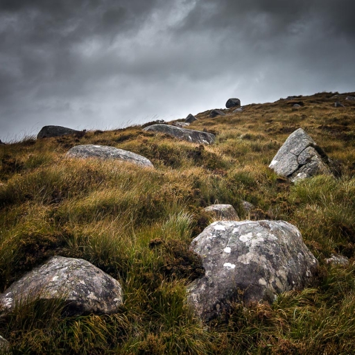 2016-10-22/pakas
pakas_Paysages et elements naturels
