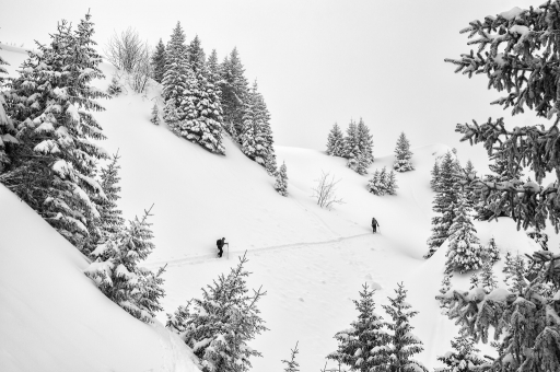 2018-03-20/ASM
ASM-Dans vos series "Randonnee a ski au Roc de Rianda"
