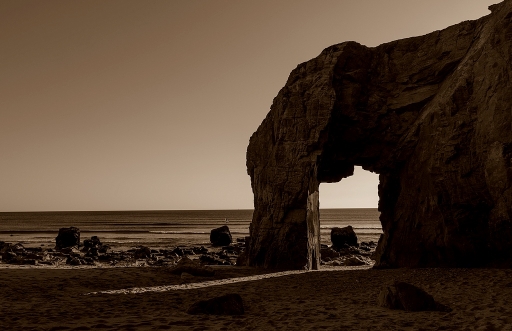 2018-06-26/neosilencers
neosilencers-Paysages et elements naturels.
