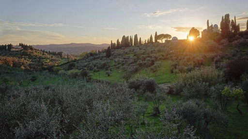 2019-04-12/Dan2
Dan2-Paysages et elements naturels
