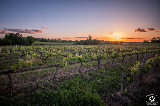 2019-05-14/nicolas03
nicolas03-Paysages et elements naturels.
