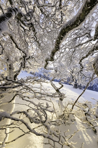 2020-12-10/ducatst
ducatst-Paysages et éléments naturels.
