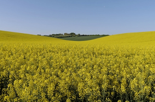 2018-05-08/charlysouho
charlysouho-Paysages et elements naturels
