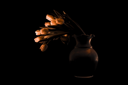 2020-02-01/Opus21
Opus21-Natures mortes,photos d'objets.
