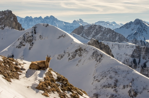 2020-02-25/ASM
ASM-Paysages et éléments naturels.
