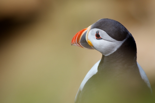 2016-05-30/Marceline
Marceline-(7-8 mai 2016) Pentaxone chez les verts
