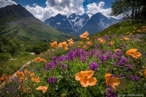 2018-09-02/SerDeber
SerDeber-Paysage et elements naturels.
