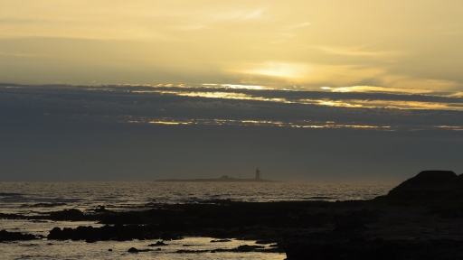 2019-08-20/papa
papa-Environnement urbain constructions humaines.
