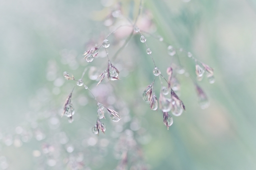 2019-05-28/Marceline
Marceline-Dans vos series "Plic Ploc"
