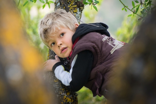 2019-05-03/ASM
ASM-Portraits
