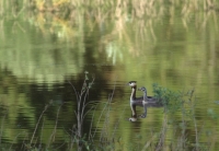 Nom du fichier=15081510332913423113511706.jpg
Taille du fichier=323Ko
Dimensions : 800x553
Ajouté le : 15 Août 2015 15081510332913423113511706.jpg