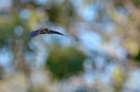 Nom du fichier=15082807274831341.jpg
Taille du fichier=343Ko
Dimensions : 1024x679
Ajouté le : 29 Août 2015 15082807274831341.jpg