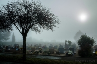 Nom du fichier=1610290343135667314591249.jpg
Taille du fichier=281Ko
Dimensions : 1024x678
Ajouté le : 30 Octobre 2016 1610290343135667314591249.jpg