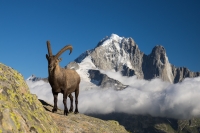 Nom du fichier=16120404545022136514681130.jpg
Taille du fichier=323Ko
Dimensions : 1024x681
Ajouté le : 05 Décembre 2016 16120404545022136514681130.jpg