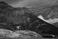 Nom du fichier=20030909005825020216682028.jpg
Taille du fichier=322Ko
Dimensions : 1200x800
Ajouté le : 09 Mars 2020 20030909005825020216682028.jpg