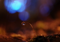 Nom du fichier=201123122937595741.jpg
Taille du fichier=328Ko
Dimensions : 1024x717
Ajouté le : 23 Novembre 2020 201123122937595741.jpg