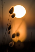 Nom du fichier=2012150951478327617175124.jpg
Taille du fichier=254Ko
Dimensions : 801x1200
Ajouté le : 15 Décembre 2020 2012150951478327617175124.jpg