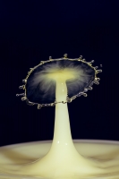 Nom du fichier=33445149168_28d9e72ebd_o.jpg
Taille du fichier=121Ko
Dimensions : 800x1200
Ajouté le : 08 Mars 2019 33445149168_28d9e72ebd_o.jpg