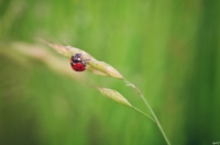 Nom du fichier=45433876525_aea718b5ae_o.jpg
Taille du fichier=281Ko
Dimensions : 1024x680
Ajouté le : 24 Décembre 2018 45433876525_aea718b5ae_o.jpg