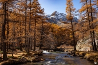 Nom du fichier=PA-76.jpg
Taille du fichier=475Ko
Dimensions : 1280x854
Ajouté le : 09 Novembre 2020 PA-76.jpg