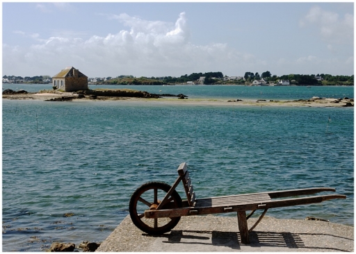 2022-10-12/Pech_les oies 
Pech_les oies [Environnement urbain et constructions humaines]
