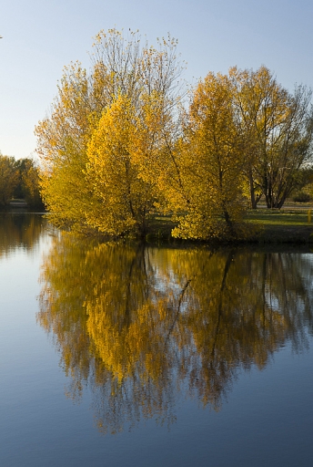 2013-12-11 / phoenis1366
phoenix1366 [Reflets et ombres]
