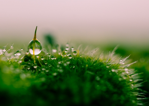 2013-01-14 / I.JUJU
I.JUJU  [ Gouttes ]
