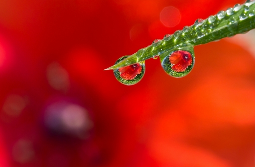 2014-08-27 / neosilencers
neosilencers [Gouttes]
