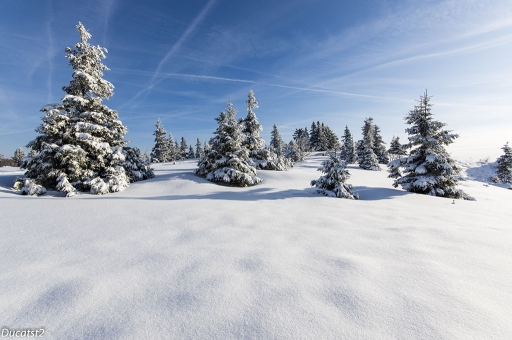 2016-03-02/ ducatst2
ducatst2 [Paysages et elements naturels]
