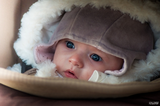 2016-11-30/nicolas03
nicolas03 [Portraits]
