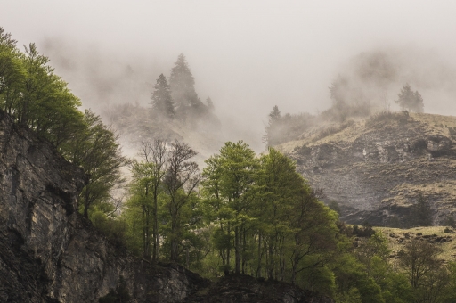 2017-06-07/ASM
ASM [Paysages et elements naturels]
