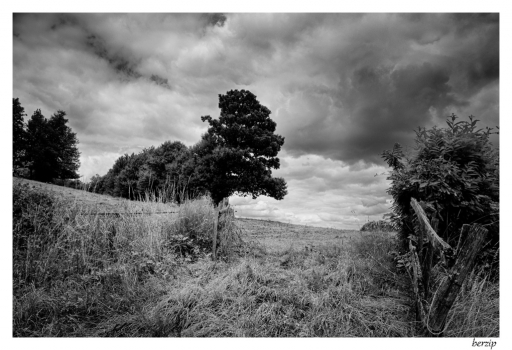 2015-04-28/berzip
berzip [Paysages]
