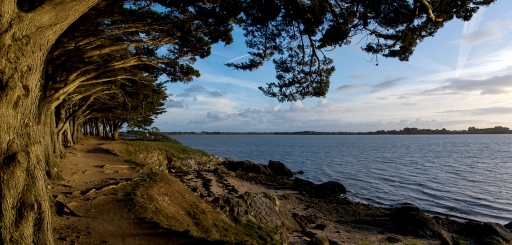 2017-11-07/neosilencers
neosilencers [Paysages et elements naturels]
