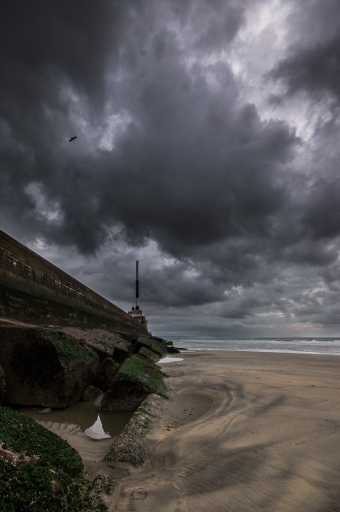 2018-01-01/Step55
Step55  [Environnement urbain et constructions humaines]
