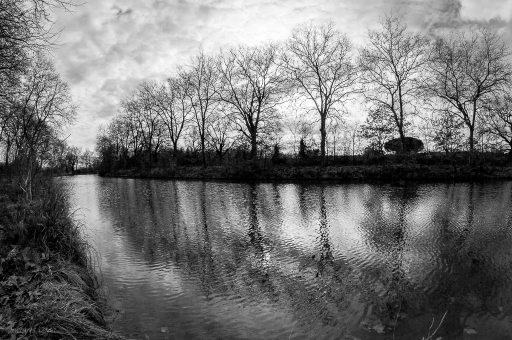 2022-04-15/Pech_les oies
Pech_les oies [Paysages et éléments naturels]
