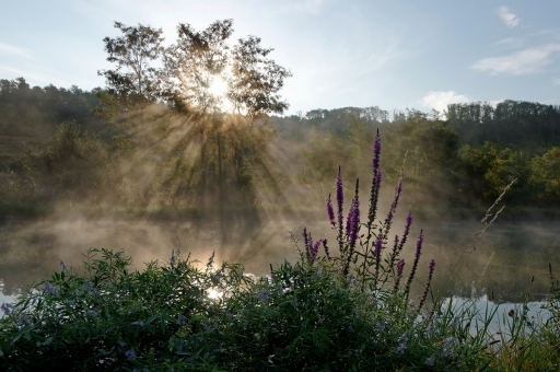 2020-08-19/charlysouho
charlysouho [Paysages et éléments naturels]
