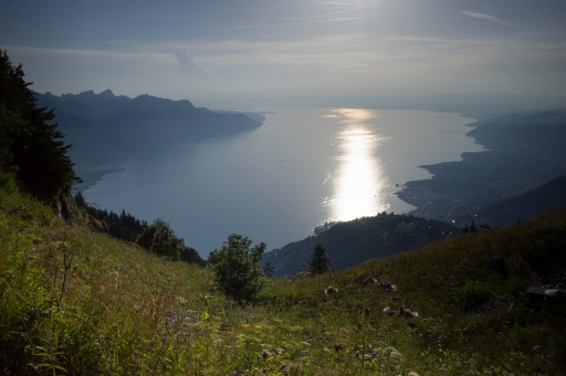 2021-01-26/Gin.net
Gin.net [Via Alpina 19-20]
