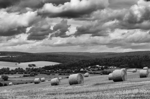 2021-08-10/ charlysouho
charlysouho [Paysages et éléments naturels]
