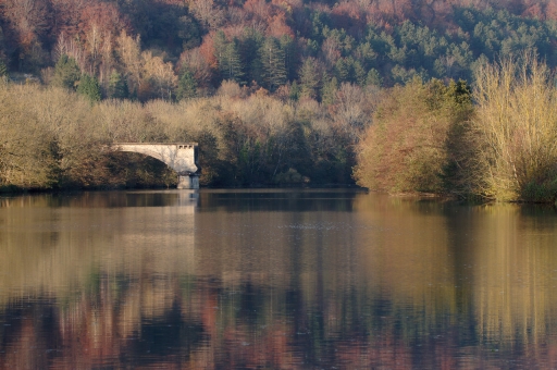 2022-01-20/charlysouho
charlysouho [Paysages et éléments naturels]
