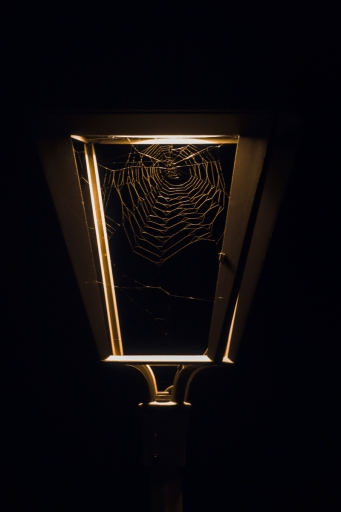 2022-12-09/kape
Kape [Paysages et éléments naturels]
