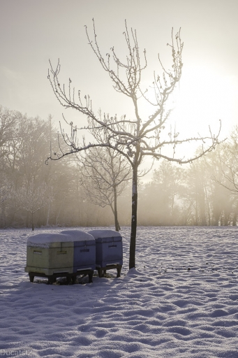 2022-12-14/ ducatsts2
ducatst2 [Paysages et éléments naturels]
