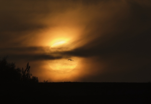 2023-02-15/ Olilignan
Olilignan [Paysages et éléments naturels]
