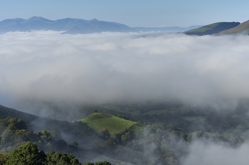 2023-08-16/vinhug
vinhug [Paysages et éléments naturels]
