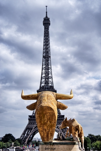 2016-09-13/berzip
berzip [Natures mortes, photos d'objets]
