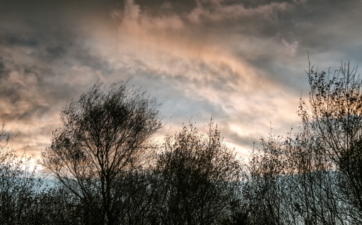 2016-11-22/Kobaia
Kobaia [Paysages et elements naturels]
