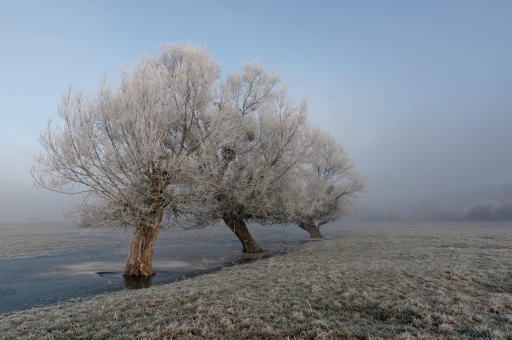 2018-12-28/charlysouho
charlysouho  "Matin glace"
