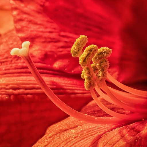 2020-02-05/ TOFTOF
TOFTOF  [Natures mortes, photos d'objets]
