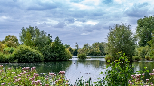 2021-10-20/einstein1976
einstein1976 [Paysages et éléments naturels]
